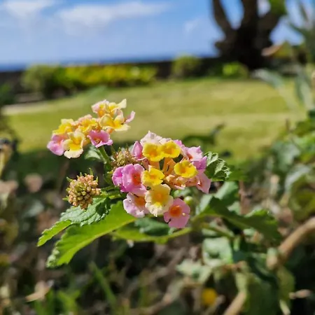 Monte Del Moro Sea Front View